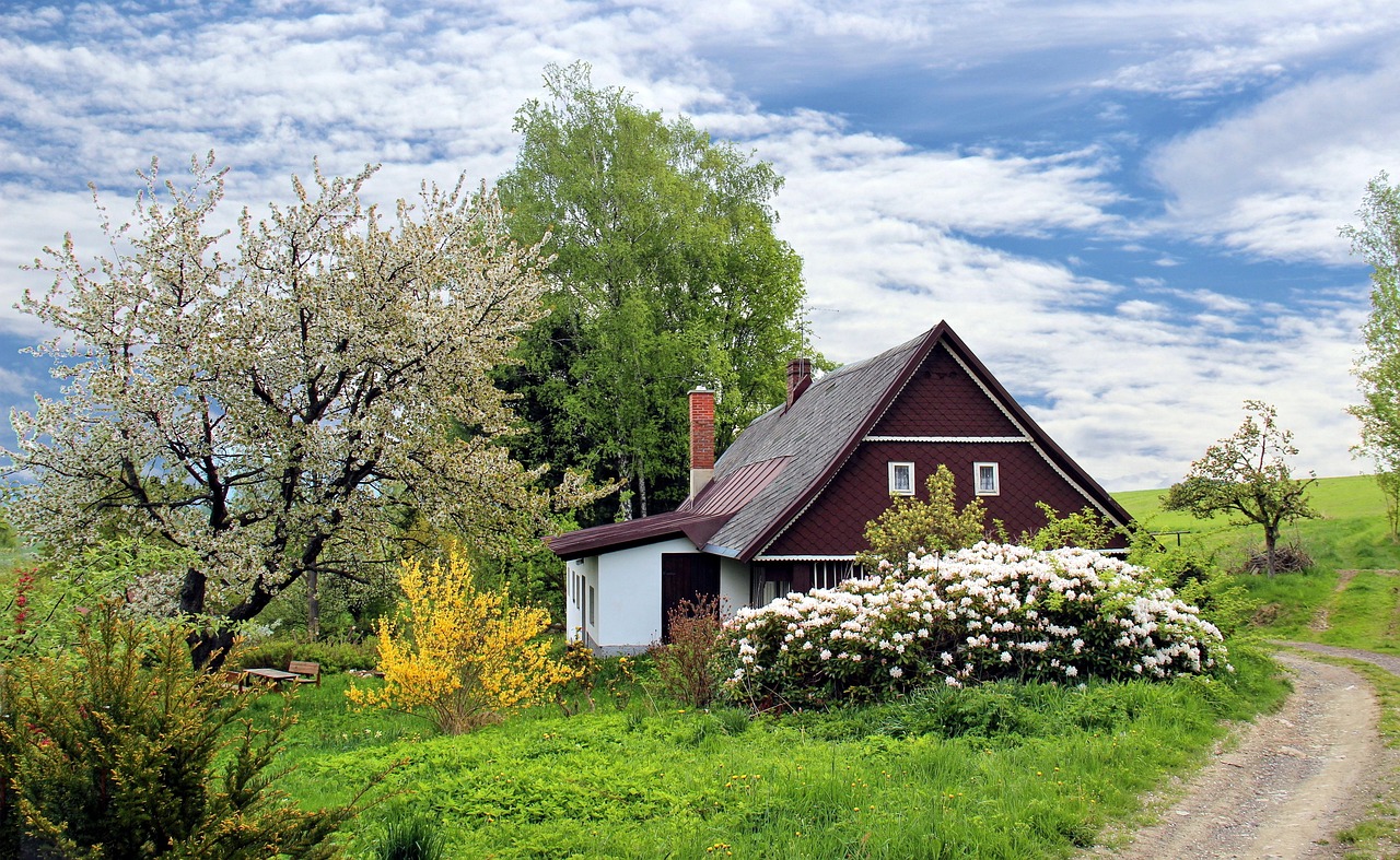 Tuin op het oosten? Zo haal je het meeste uit de zonuren